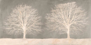 Alessio Aprile - Trees on Grey