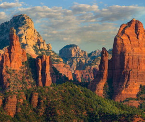 Tim Fitzharris - Red Rock-Secret Mountain Wilderness, Arizona