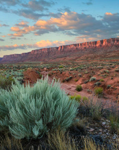 Tim Fitzharris - Desert and cliffs, Vermilion Cliffs National Monument, Arizona