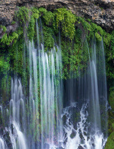 Tim Fitzharris - McArthur-Burney Falls Memorial State Park, California