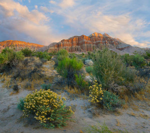 Tim Fitzharris - Cliffs in flowering desert, Red Rock Canyon State Park, California