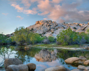 Tim Fitzharris - Pond, Barker Pond Trail, Joshua Tree National Park, California