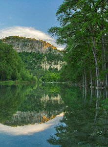 Tim Fitzharris - Bald Cypress trees along river, Frio River, Old Baldy Mountain, Garner State Park, Texas