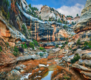 Tim Fitzharris - Tuwa Creek, Natural Bridges National Monument, Utah