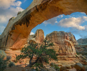 Tim Fitzharris - Arch, Hickman Bridge, Capitol Reef National Park, Utah