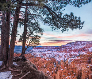 Tim Fitzharris - Hoodoos in winter, Bryce Canyon National Park, Utah