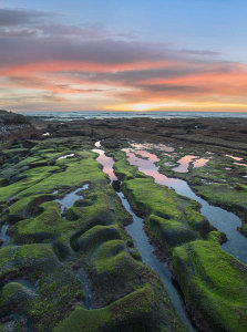 Tim Fitzharris - Intertidal zone at sunset, La Jolla Cove, San Diego, California