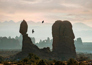 Tim Fitzharris - Ravens flying over Balanced Rock, Arches National Park, Utah