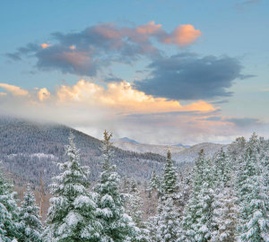 Tim Fitzharris - Coniferous forest in winter, Aspen Vista, Santa Fe National Forest, New Mexico