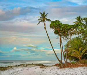 Tim Fitzharris - Beach and moon, Playa Santa Teresa, Costa Rica