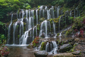 Tim Fitzharris - Banyu Wana Amertha Waterfall, Bali, Indonesia