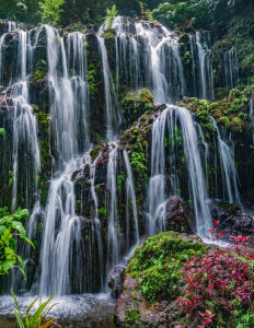 Tim Fitzharris - Banyu Wana Amertha Waterfall, Bali, Indonesia