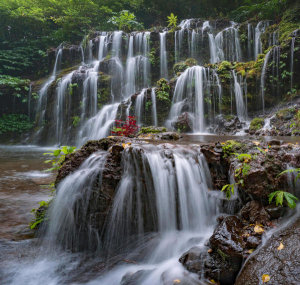 Tim Fitzharris - Banyu Wana Amertha Waterfall, Bali, Indonesia