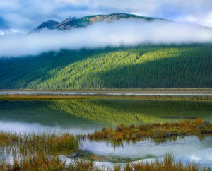 Tim Fitzharris - Beauty Creek, Winston Churchill Range, Jasper National Park, Alberta, Canada