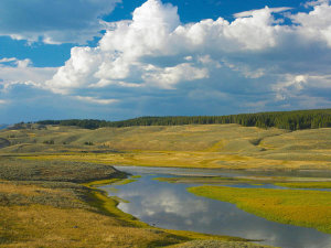 Tim Fitzharris - Alum Creek, Hayden Valley, Yellowstone National Park, Wyoming