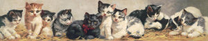 Unknown 19th Century American Lithographer - Yard of Cats, 1893 - Cropped