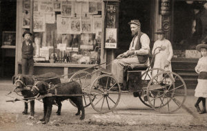 Charles F. Cook - Man in a Dog-drawn Cart, ca. 1870