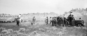 Arthur Rothstein - Branding during roundup, Montana, 1939