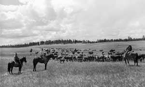 Arthur Rothstein - Roundup at Custer National Forest, Montana, 1939