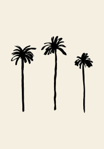 Uppsala Studio - Palm Trees