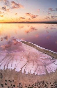 Antonio Carrillo Lopez - Pink Lake