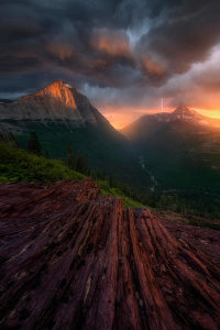 Ryan Dyar - Dissolution