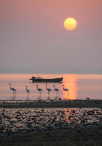 Ilias Nikoloulis - Morning Sunbath