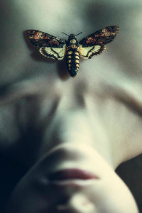 Magdalena Russocka - Moth