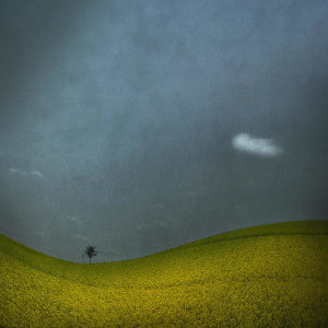 Inge Schuster - Minimalist Landscape