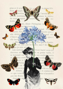 Stef Lamanche - Lady of Butterflies