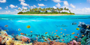 Pangea Images - The Coral Reef