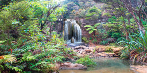 Pangea Images - Rainforest waterfall