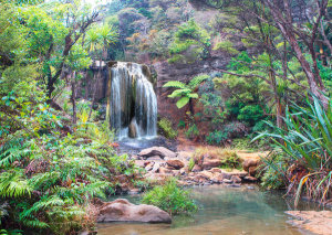 Pangea Images - Rainforest waterfall (detail)