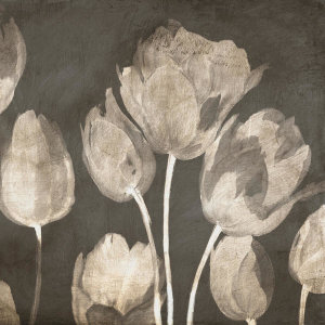 Luca Villa - Washed Tulips II