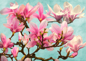 Luca Villa - Magnolia Branch (turquoise)