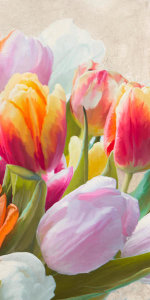 Luca Villa - Spring Tulips III