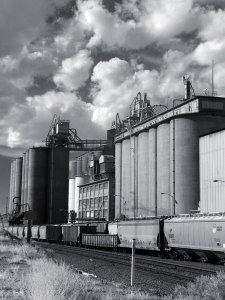 Carol Highsmith - Train in front of a grain elevator in California, 2012