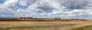 Carol Highsmith - Passing freight train on the plains of Albany County, north of Laramie, Wyoming, 2015