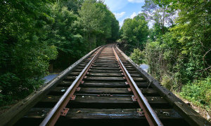 Carol Highsmith - Out of service train trestles near Athens, Georgia, 2017