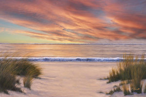 Diane Romanello - Beach Solitude