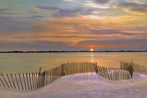 Diane Romanello - Beach Fences