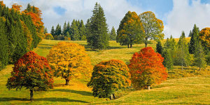 Pangea Images - Autumn in Quebec