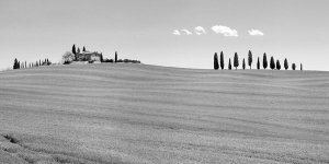 Pangea Images - Strada del Brunello, Tuscany (BW)