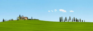 Pangea Images - Strada del Brunello, Tuscany (detail)