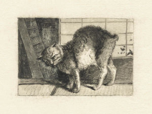 Unknown 19th Century Japanese Artist - Domestic Cat, 1878