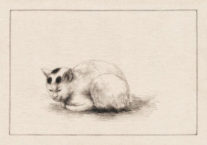 Unknown 19th Century Japanese Artist - Domestic Cat, 1878