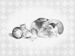 Gottfried Mind - Mother Cat Napping with Kittens