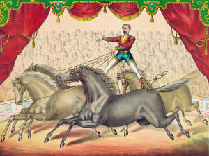 Gibson & Co. - Circus Scenes: Four Horse Act, ca. 1891