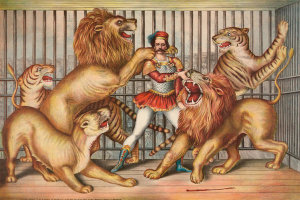 Gibson & Co. - Circus Scenes: The King of Lions, ca. 1874