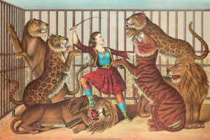 Gibson & Co. - Circus Scenes: The Queen of Lions, ca. 1874